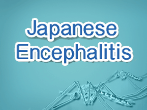 Japanese Encephalitis