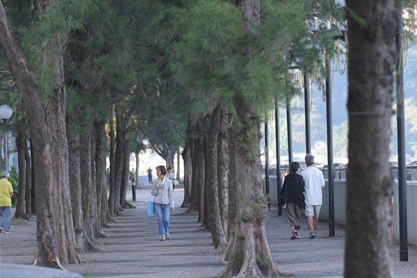News gov hk Street Tree Guide Published