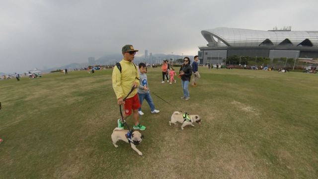 People, pets share HK parks