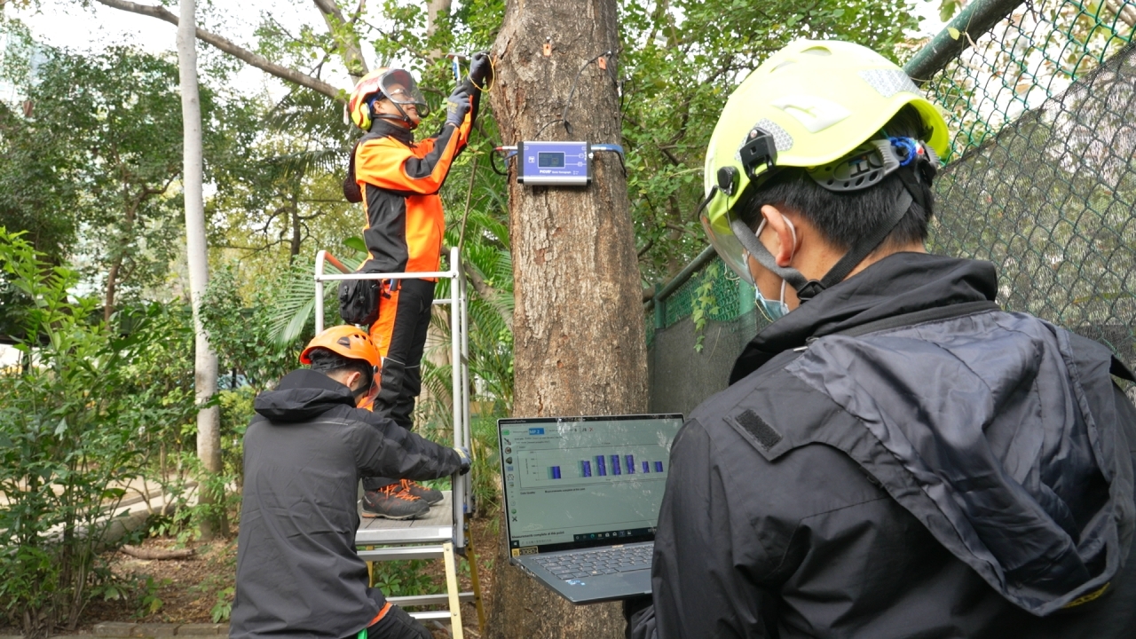 Smart tech enhances tree care