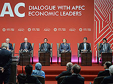 APEC audience