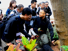 Tree training