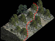 新建越野單車徑將因應地形設計走線，盡量減少砍伐樹木。