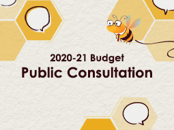 2020-21 budget