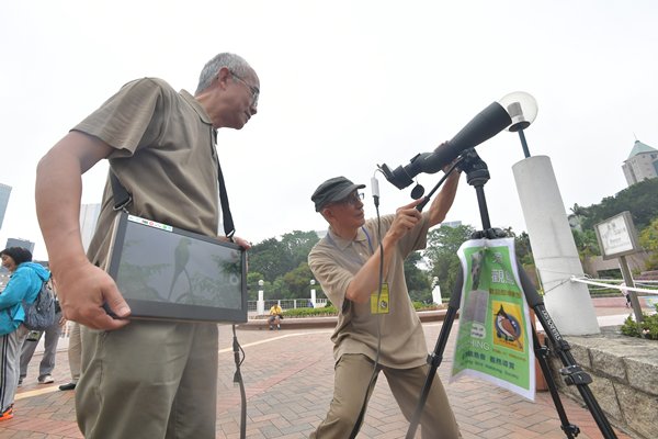 巧花心思