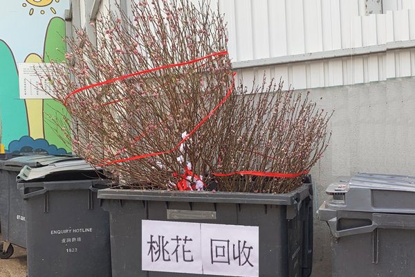 一年之始 环保减废