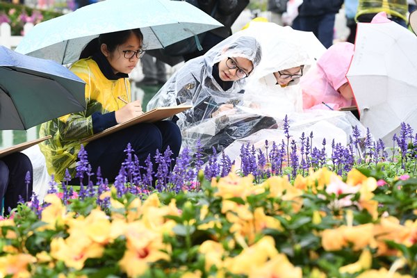 春雨赏花