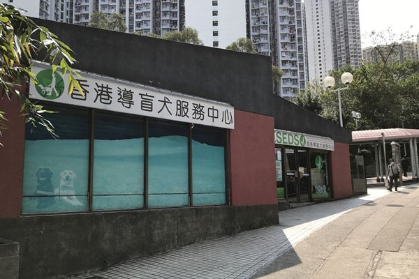 空間不足:香港導盲犬服務中心現時位於葵涌葵盛東邨，面積只有約1,100平方呎。
