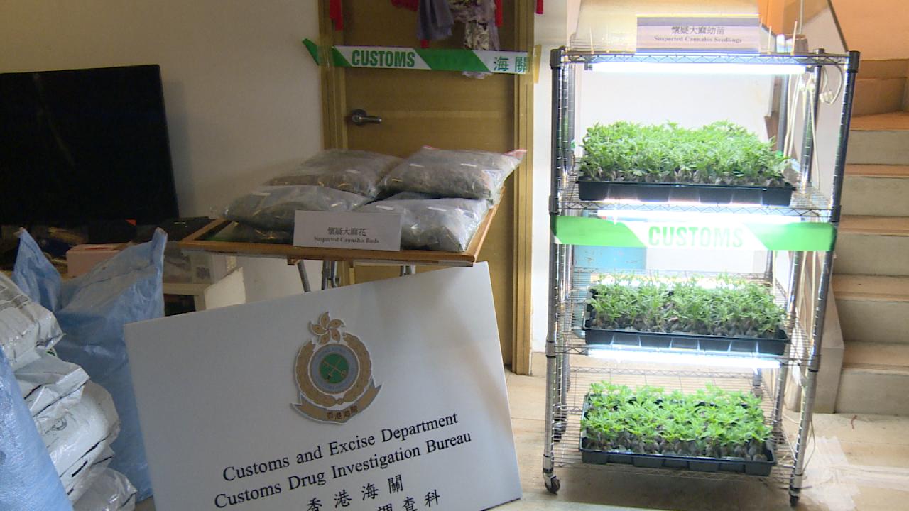 海關破歷來最大宗大麻栽植場案