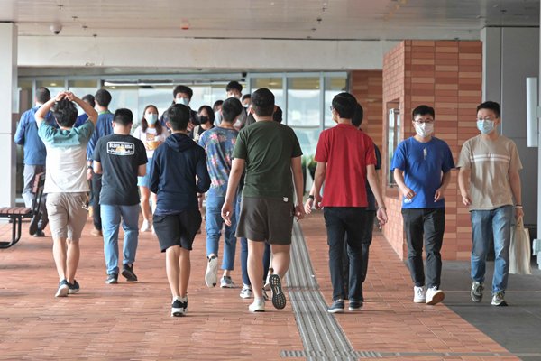 參與灣區建設 推進青年工作