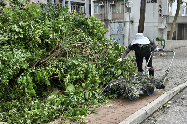 政府高層督導 妥為應對颱風