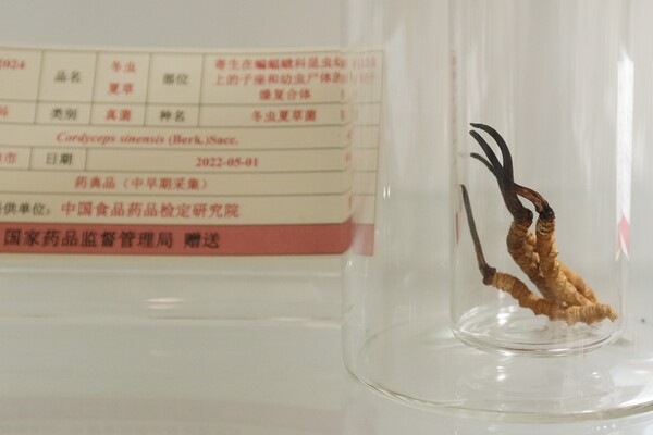 鼎力支持