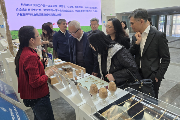農業發展