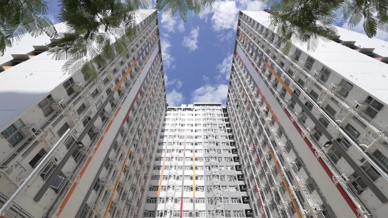 彩興路簡約公屋施工速度創紀錄