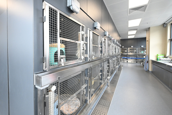 進口貓狗輪候檢疫設施時間大減