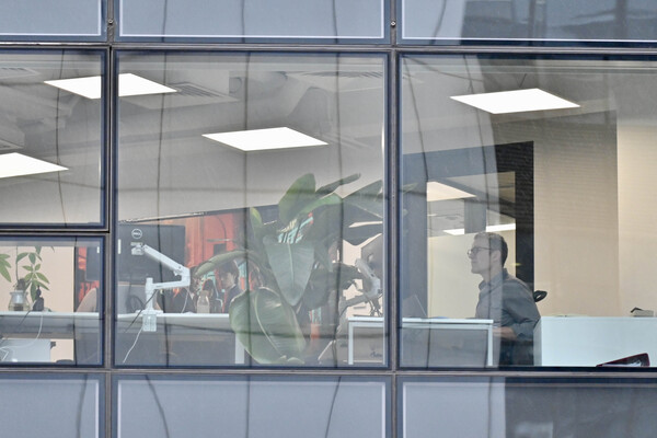 去年新成立和經遷冊公司逾19萬間