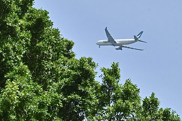 陳茂波明出席世界經濟論壇年會