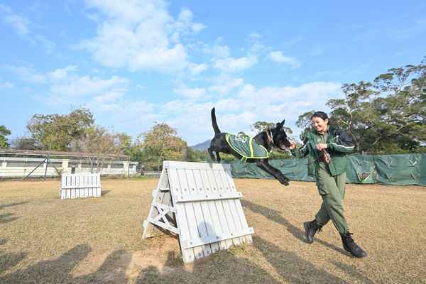 檢疫偵緝犬助漁護署打擊走私