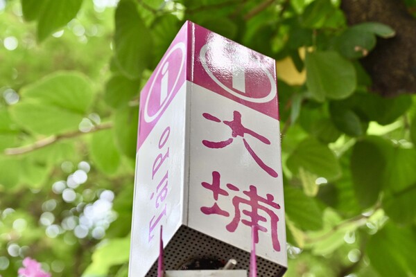 持續支援宏福苑居民