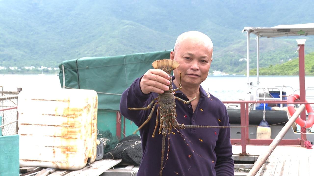 水陸好滋味 偷閒共嘗鮮