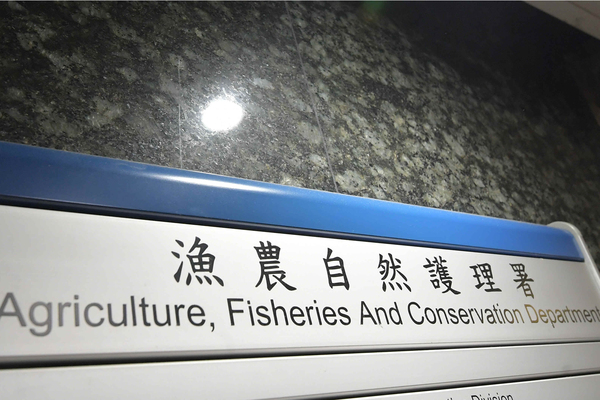 元朗狗隻襲擊案 畜養人被檢控