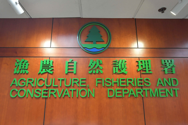 漁護署調查元朗懷疑狗隻咬人個案
