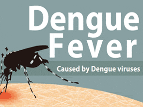 Dengue Fever