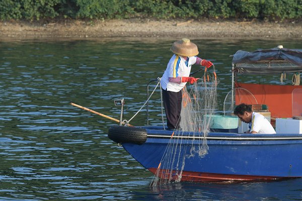 Catch of the day
