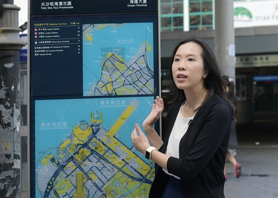 Simplified maps