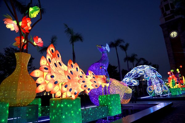 Festive lights