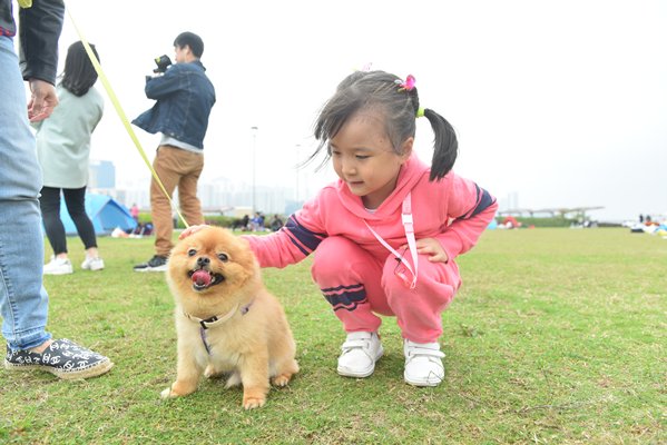 Furry friends