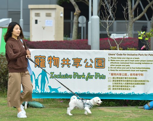 Canine manners