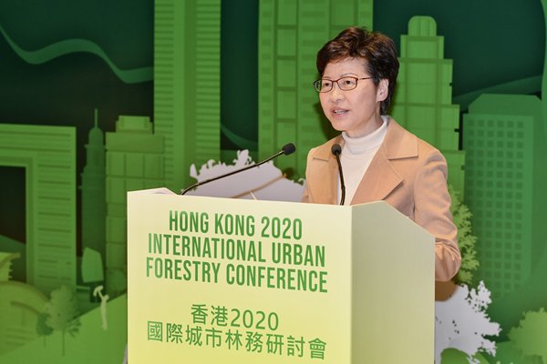 Forest framework 