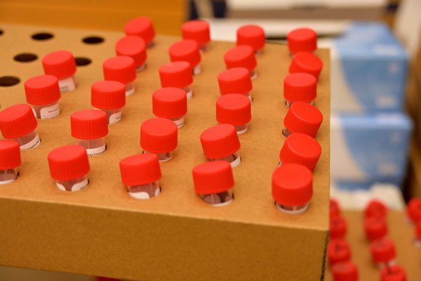 No virus cases found in Tung Chung