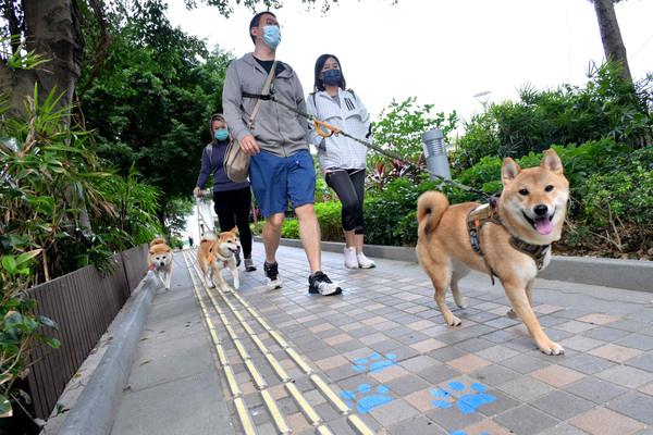 50 more parks set for pets