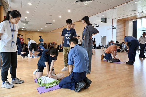 Practical experience