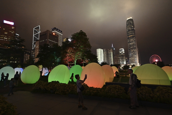 Art@Harbour 2024 well received