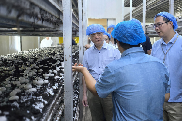Smart agriculture