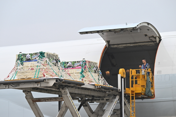 HK airport unparalleled on cargo