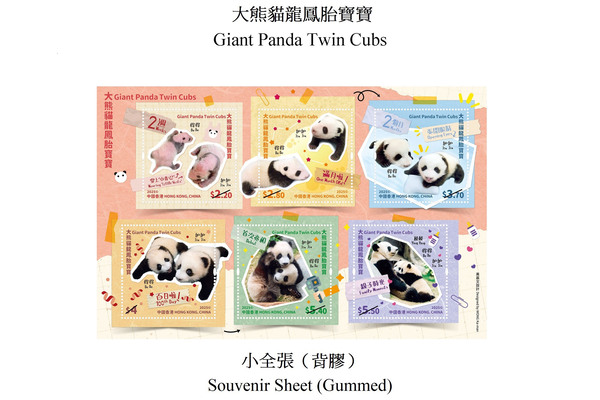 Panda story
