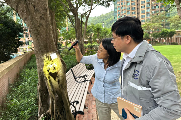 Detailed investigation