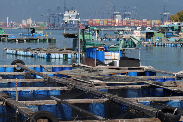 Fisheries licence applications open