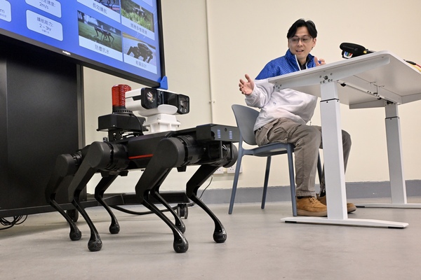 Advanced inspections