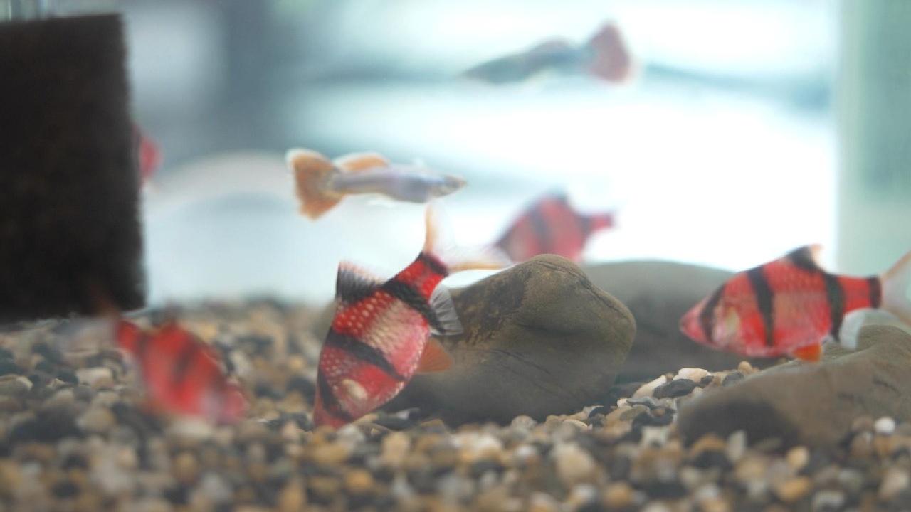 Cultivating AI innovation on campus