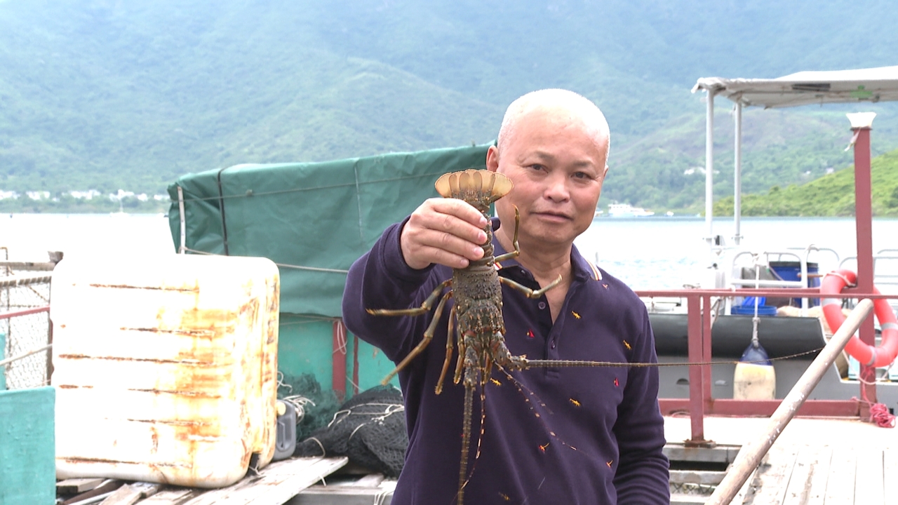 Fish enJoy Scheme catches on