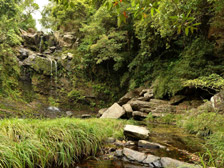 郊野美景