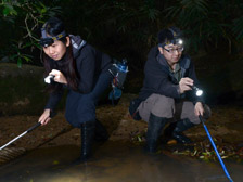 Eco-warriors