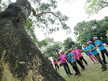 Champion climbers