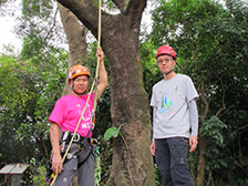 Tree hugging