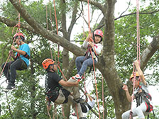 Branching out